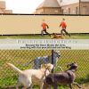 Artpuch Privacy Fence Screen Sand Customized Outdoor Mesh Panels for Backyard, Balcony,Patio,Construction Site with Zip Ties