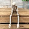 1pc Skull Statues Set, Resin Skeleton Shelf Sitters Sitting Figurines, For Home Bookshelf Table Ledge Edge Decorative, Crafts Ornaments
